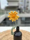 yellow daisy.webp