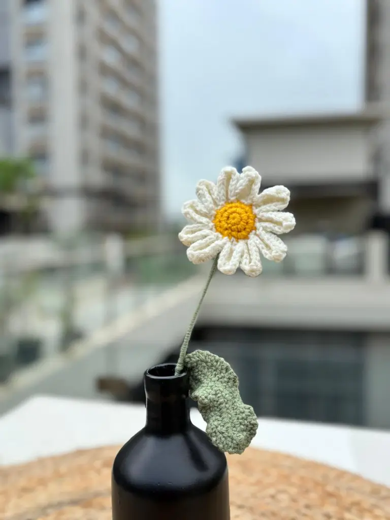 white daisy.webp