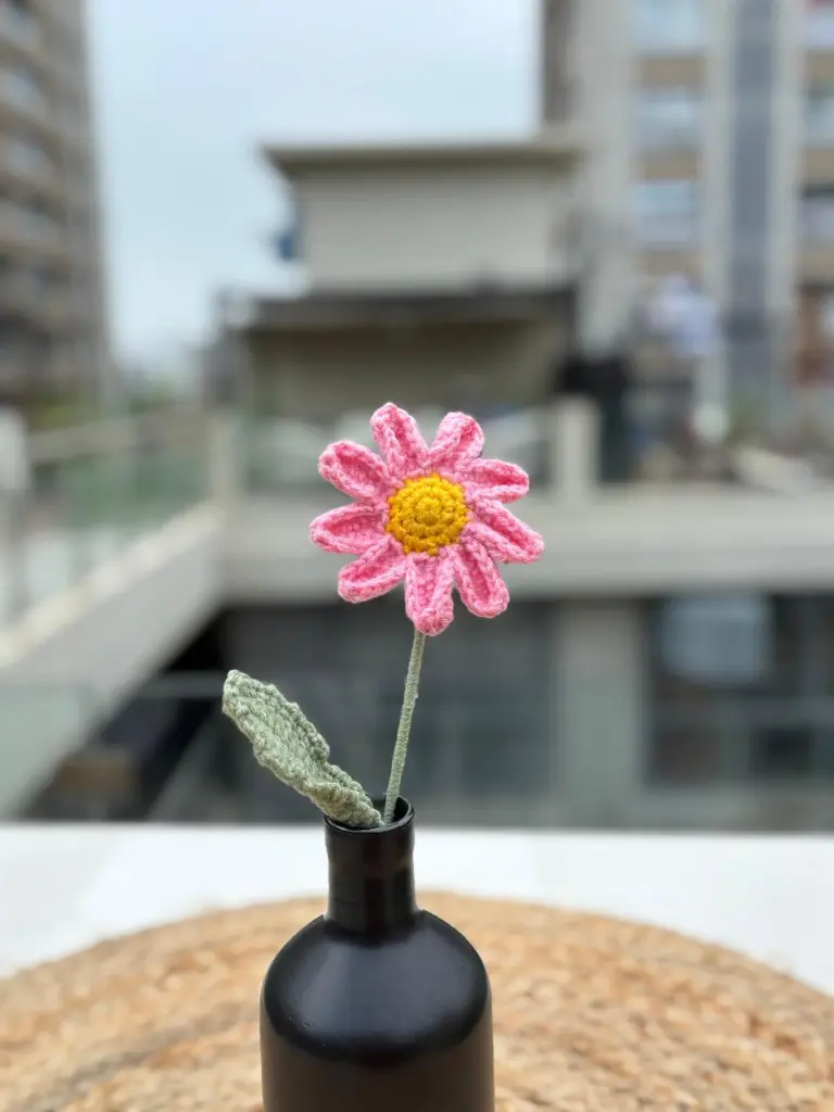 pink daisy.webp