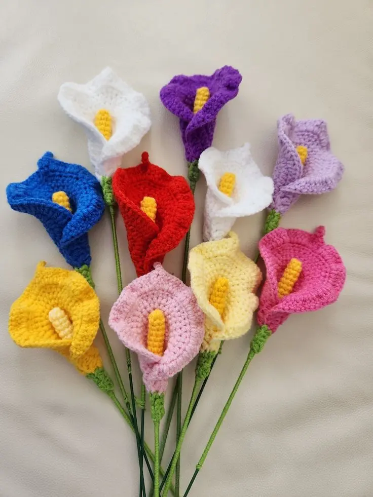 Calla lily