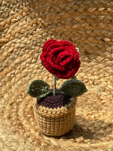 Rose pot 