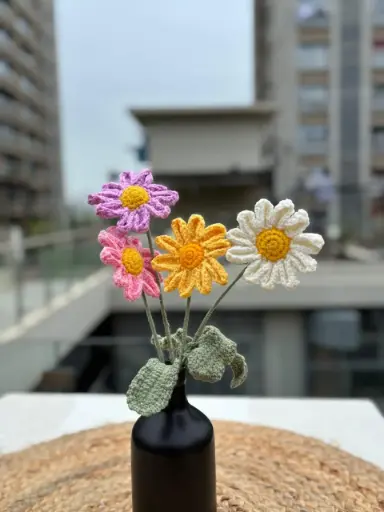 Daisy